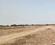 Sarde Plot View 2