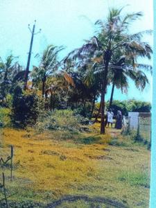 Image of 2641 Sq.ft Residential Plot / Land for sale in Elappully-II, Palakkad for Rs. 500000