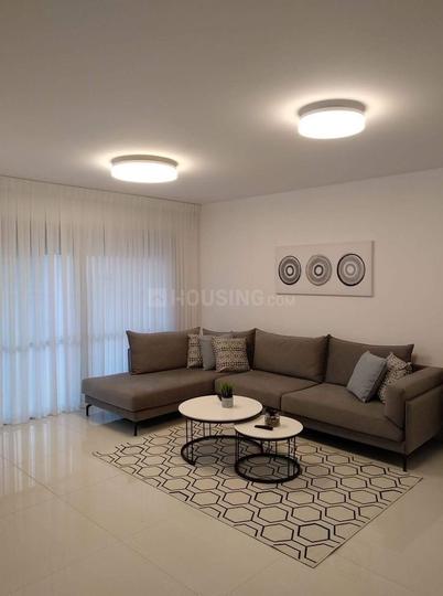 Vengali Main Image 1