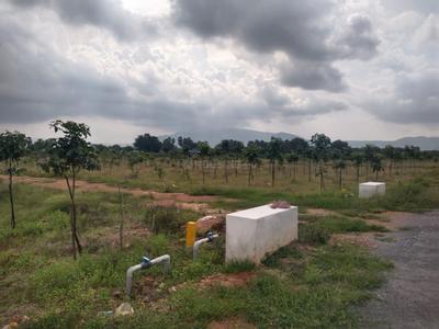 Image of 250 Sq.ft 2 BHK Farm House for rent in Tirupati Amaraavathi Tekk Homes, Yerpudu, Tirupathi for Rs. 20000