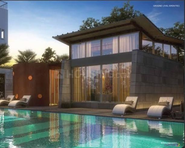 Pristine Pronext Main Image 1