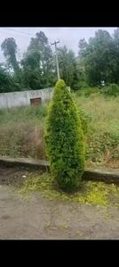 Image of 1000 Sq.ft Residential Plot / Land for sale in Haldwani, Nainital for Rs. 3200000