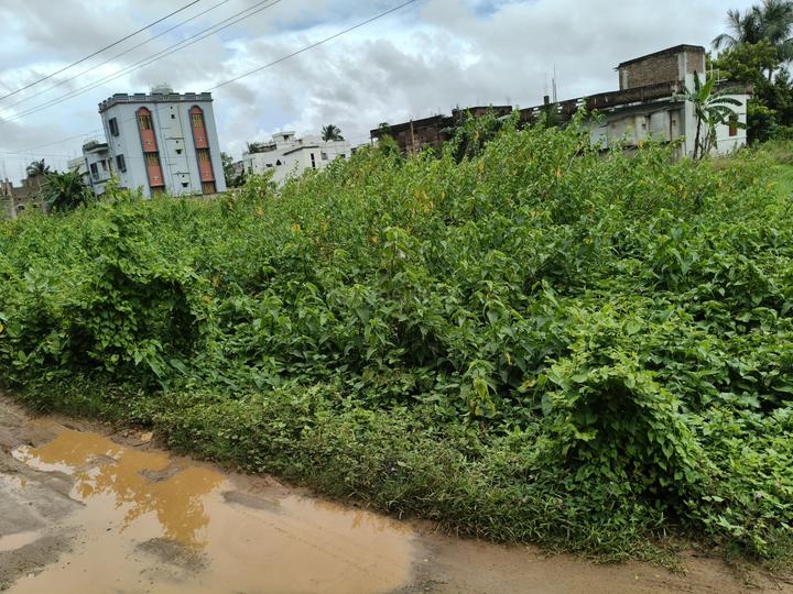 Bhoisahi Main Image 1