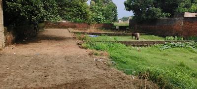 Image of 1200 Sq.ft Residential Plot / Land for sale in Bilandpur, Gorakhpur for Rs. 2700000