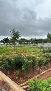 Image of 1160 Sq.ft Residential Plot / Land for sale in Sarjapur, Bengaluru for Rs. 16000000