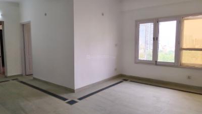Niho Saffron Scottish Garden Living Room 2