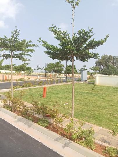 KNS Aura Main Image 1