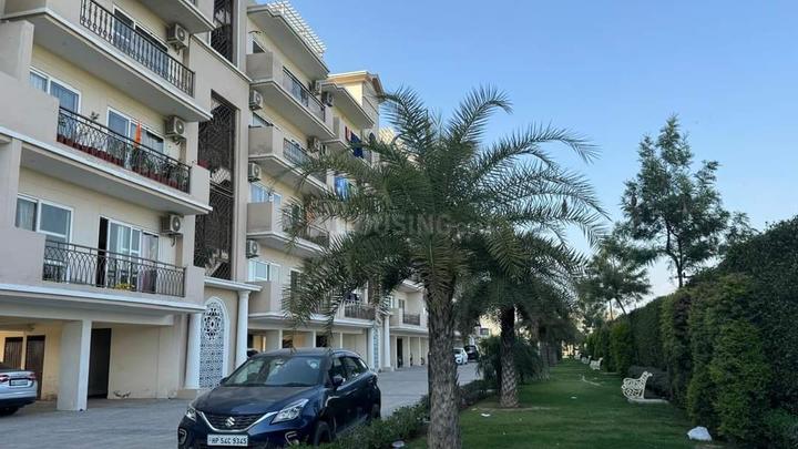 solitare Main Image 1