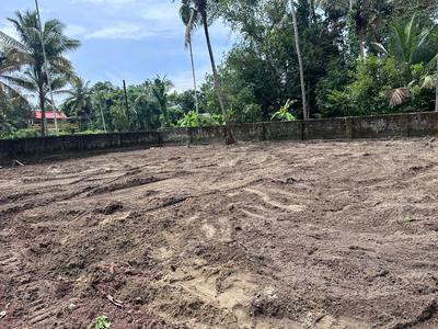 Image of 4200 Sq.ft Residential Plot / Land for sale in Mulanthuruthy, Kochi for Rs. 595000