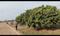 Karanpur Main Image 1