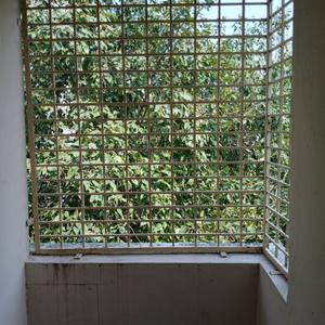 Balcony Image of 1000 Sq.ft 2 BHK Apartment / Flat for rent in Sarojini Devi Layout Tirupathi for Rs. 14000