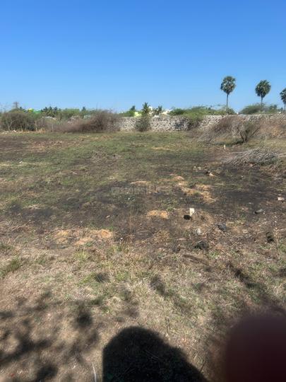 Sivanthangal Main Image 1