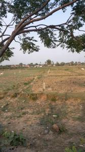 Image of 1360 Sq.ft Residential Plot / Land for sale in Bodh Gaya, Gaya for Rs. 965000