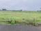 Layout Main Image 1