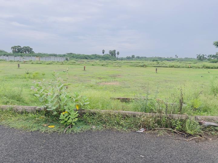 Layout Main Image 1