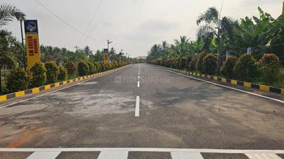 Annur Plot View 2