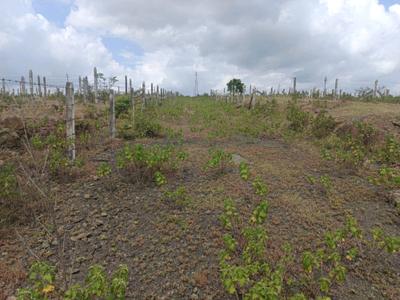 Image of 1200 Sq.ft Residential Plot / Land for sale in Lohegaon, Pune for Rs. 3609000