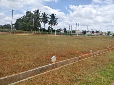 Danagalli Plot View 2