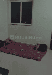 Bedroom Image of 980 Sq.ft 2 BHK Apartment / Flat for rent in Lalpur Ranchi for Rs. 13000