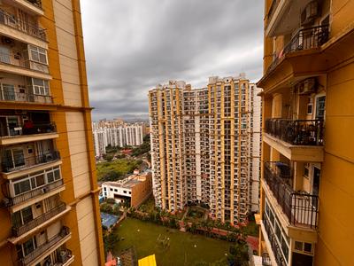 Image of 1732 Sq.ft 3 BHK Apartment / Flat for rent in Apex Athena, Sector 75, Noida for Rs. 56500