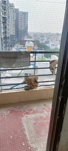 Balcony Image of 500 Sq.ft 1 BHK Apartment / Flat for sale in Space Park, Mahalakshmi Nagar Indore for Rs. 2600000