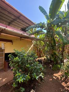 Image of 1200 Sq.ft 3 BHK Independent House for sale in Ayyanthole, Thrissur for Rs. 8800000
