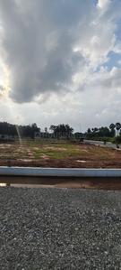 ROYAL AVENUE Plot View 3