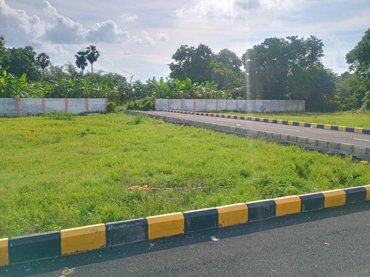 Ms susheela avenue Main Image 1