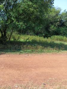 Image of 2489 Sq.ft Residential Plot / Land for sale in Bhilai Marshalling Yard, Charoda for Rs. 3235635