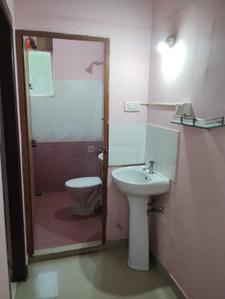 Bathroom Image of 950 Sq.ft 2 BHK Apartment / Flat for rent in Bounteous Banian Retreat, Ramavarmapuram Thrissur for Rs. 10000