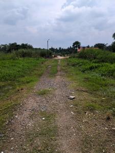 Nest Valley Internal Roads 2