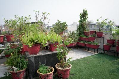 Image of 1620 Sq.ft 3 BHK Builder Floor for sale in Preet Vihar, New Delhi for Rs. 30000000