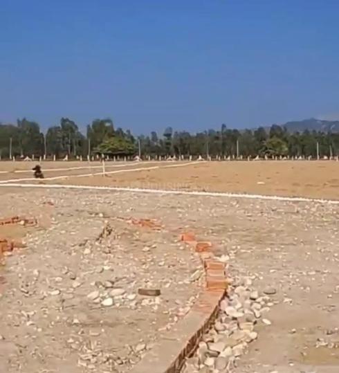 Shakumbari  Main Image 1