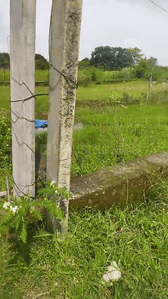 Image of 435 Sq.ft Residential Plot / Land for sale in Pundag, Ranchi for Rs. 1600000