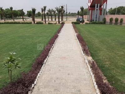 Plot View