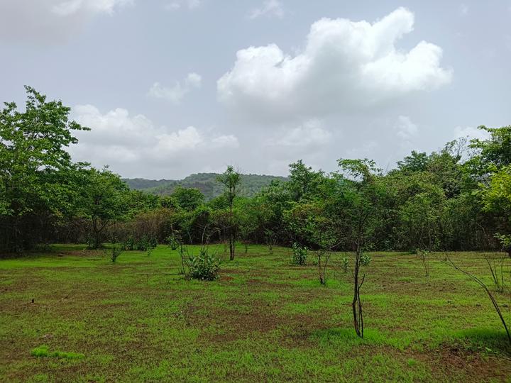 Devrukh Main Image 1