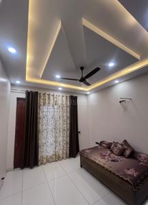 Hall Image of 1500 Sq.ft 2 BHK Builder Floor for rent in TDI Panipat Estate, Huda Sectors Panipat for Rs. 21000