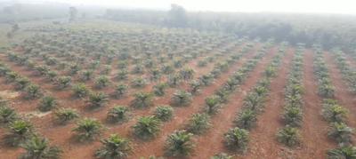 Image of 120 Sq.ft Residential Plot / Land for sale in Narayankhed, Sangareddy for Rs. 450000