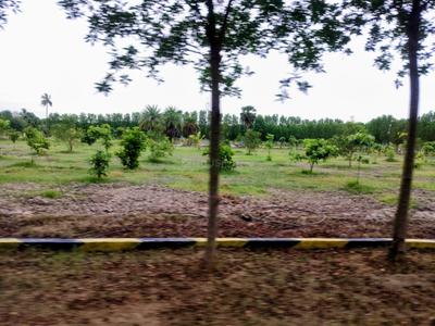 Image of 10000 Sq.ft Residential Plot / Land for sale in Vedanthangal, Chennai for Rs. 3000000