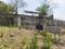 Windmill Village Main Image 1