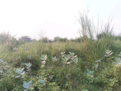 Image of 64 Sq.ft Residential Plot / Land for sale in Sector 34 Rohini, New Delhi for Rs. 13000000
