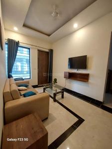 Hall Image of 750 Sq.ft 1 BHK Apartment / Flat for rent in Bhai Randhir Singh Nagar Ludhiana for Rs. 15000