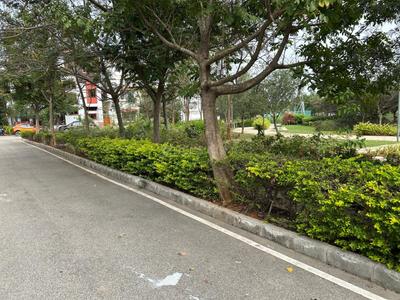 Residential Plot