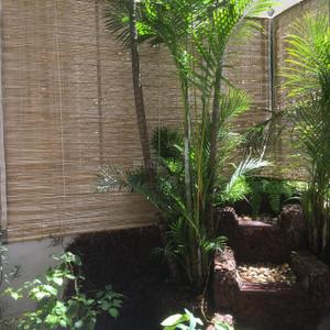 Balcony Image of 1850 Sq.ft 3 BHK Apartment / Flat for rent in Jayamahal Bengaluru for Rs. 85000