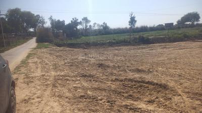 Image of 900 Sq.ft Residential Plot / Land for sale in Gauhania, Allahabad for Rs. 600000