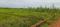 AIIMS CITY Plot View 2