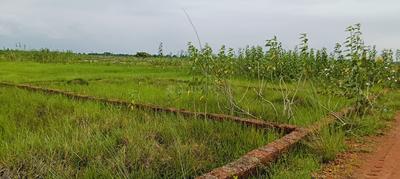AIIMS CITY Plot View 2