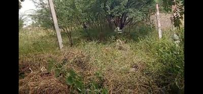Thoppur Plot View 1