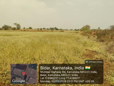 Agricultural Land