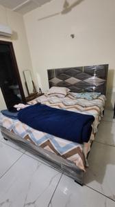 Bedroom Image of 1300 Sq.ft 2 BHK Apartment / Flat for rent in Jalandhar Cantt Jalandhar for Rs. 14000